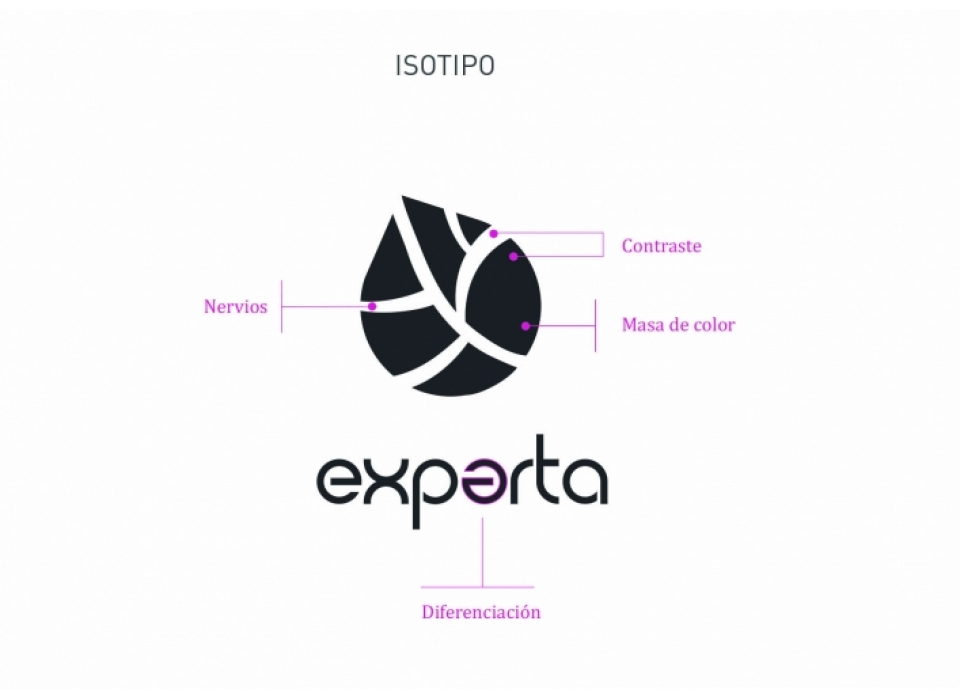 experta-logotipo
