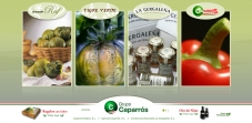 Sitio web - Grupo Caparros