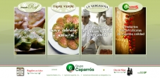 Sitio web - Grupo Caparros