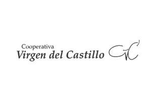 Logotipo Virgen del Castillo