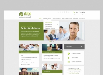 Captura Dabo Consulting