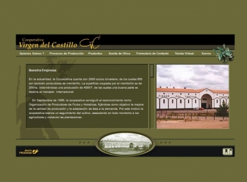 Cooperativa Virgen del Castillo web