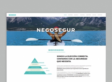 Negosegur Diseño web